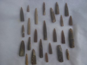 Belemnites Fossils from Ariyalur. Karai Formation . Photo(c) Riffin T sajeev&Russel t sajeev , World Fossil Society (WFS)