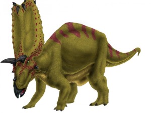 An artistic rendering of the Pentaceratops is pictured here.