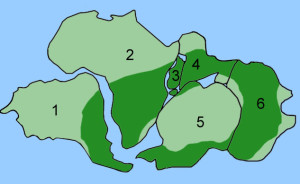 Fossils of the gymnosperm Glossopteris (dark green) found in all of the southern continents provide strong evidence that the continents were once amalgamated into a supercontinent Gondwana
