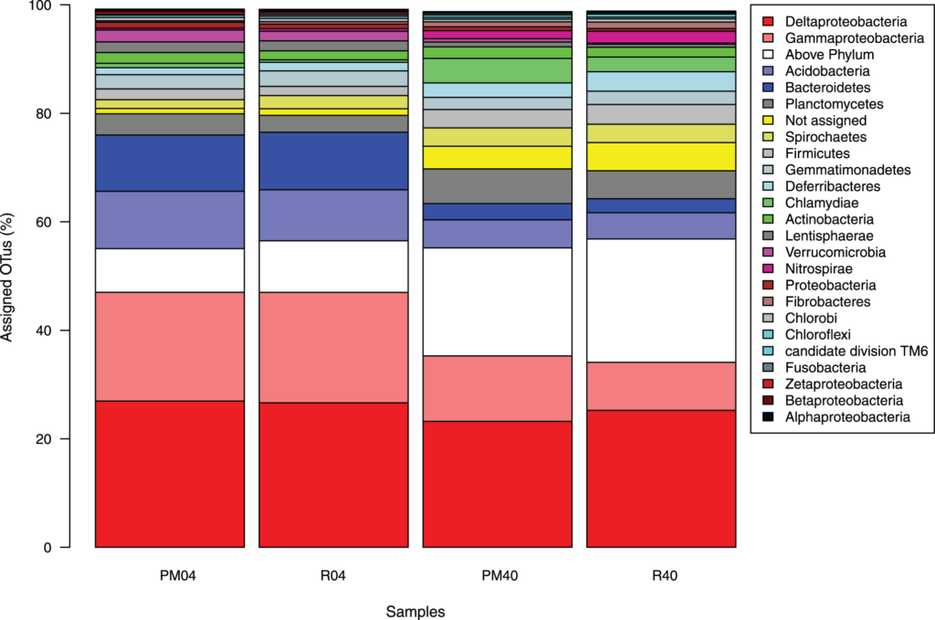 Phylum level abundances of representative OTU sequences. The Lowest common ancestor algorithm was used to classify OTU sequences with blastN against the SILVA V108 SSURef database. The phylum Proteobacteria was split to accommodate for the different abundances within the various sub clades. OTUs that did not classify to the proteobacterial subclades were assigned to the taxon Proteobacteria. The group “Not assigned” consists of sequences with significant blast hits but could not be classified using the set LCA parameters. The group “Above phylum” contains OTU sequences assigned to either the kingdom Bacteria or to cellular organisms. Note that only the top 25 taxa are indicated for clarity. 