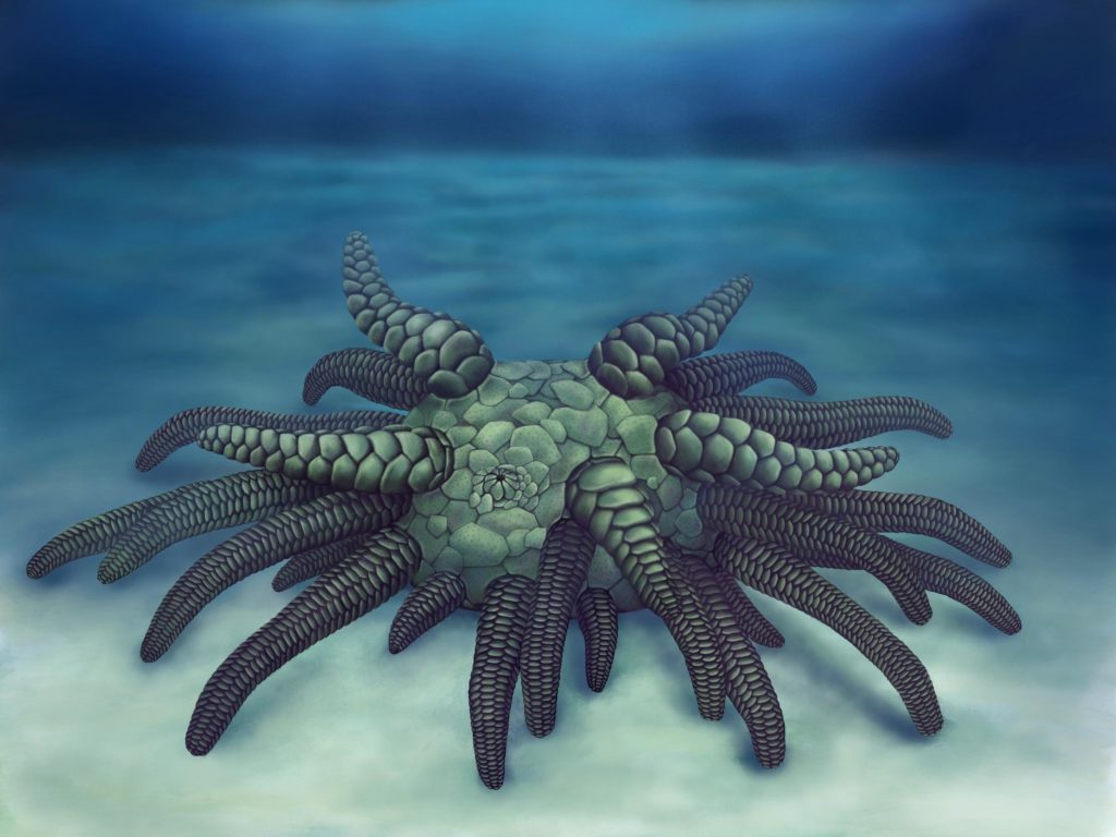 Artist's reconstruction of Sollasina cthulhu ( Elissa Martin, Yale Peabody Museum of Natural History )