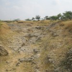 World Fossil Society found a new Mio-Pliocene fossil bed along the eastern coast of indian subcontinent (Stock photo-4)