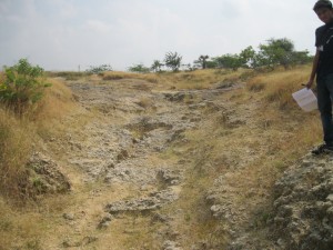 World Fossil Society found a new Mio-Pliocene fossil bed along the eastern coast of indian subcontinent (Stock photo-4)