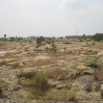 World Fossil Society found a new Mio-Pliocene fossil bed along the eastern coast of indian subcontinent (Stock photo-3)