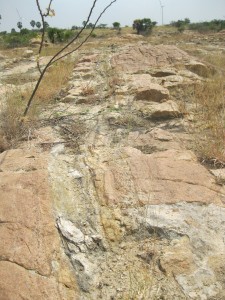 World Fossil Society found a new Mio-Pliocene fossil bed along the eastern coast of indian subcontinent (Stock photo-1)