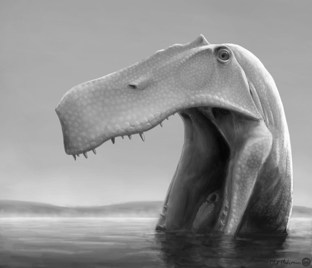 Brazil in the Early Cretaceous, 115 Ma ago: the predatory dinosaur Irritator challengeri forages with spreading lower jaws in shallow water for small prey, including fish. Credit: Olof Moleman