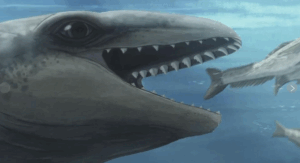 1 of 4 | Long before whales were majestic, gentle giants, some of their prehistoric ancestors were tiny, weird and feral. A chance discovery of a 25 million-year-old fossil on an Australian beach has allowed paleontologists to identify a rare, entirely new species that could unlock the mysteries of whale evolution.